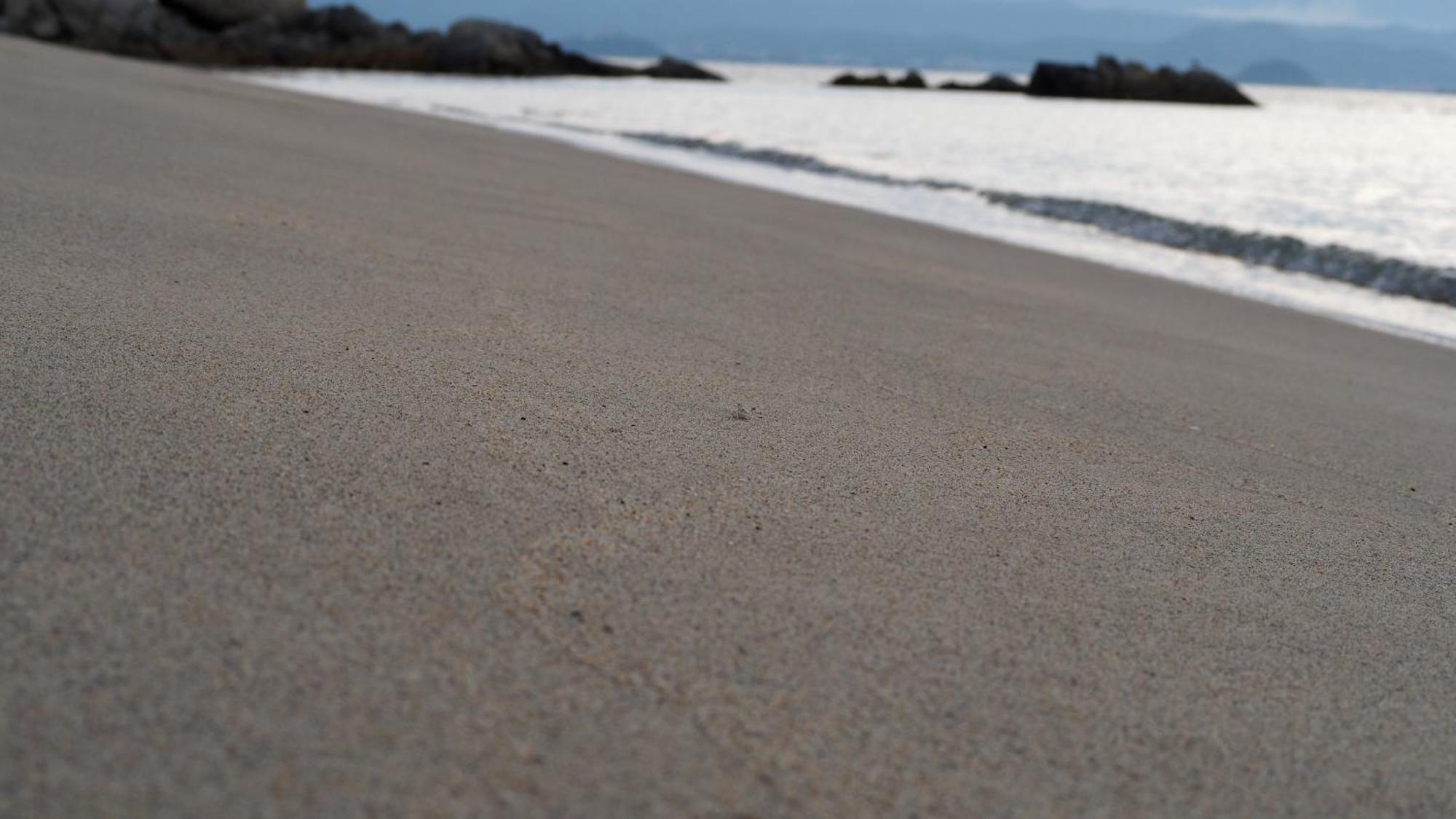 Alfacio Resort Stay Itoshima Eksteriør billede